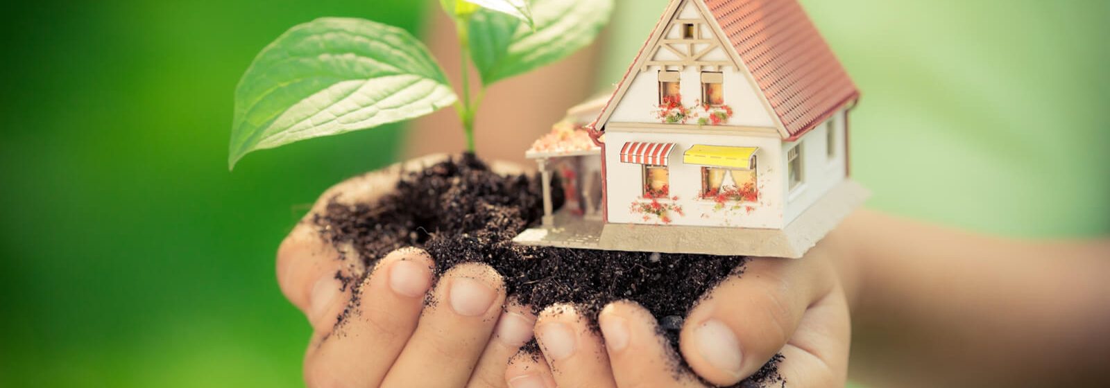 Moving with the Environment in Mind